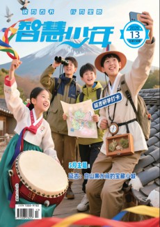 智慧少年